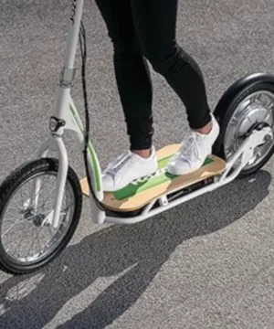 EcoSmart SUP Scooters