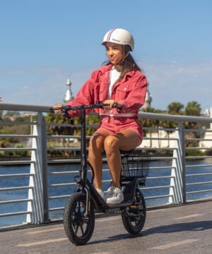 flex-electric-scooter
